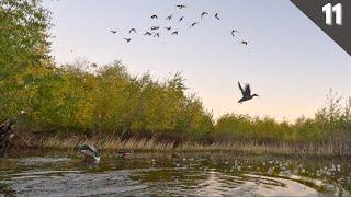 Decoying BIG FLOCKS Into A Hidden WILLOW HOLE | Kayak Duck Hunting