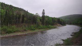 VIA Rail's Ocean Train #14 Amqui ⇒ Campbellton