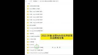 孙谦谷歌Ads优化师部落实战教程全集
