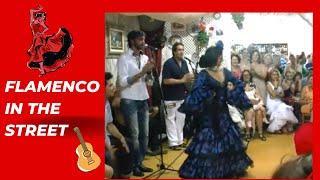 Flamenco en la calle,flamenco in the street,Bulerias  en la  Feria de Sanlúcar de Barrameda Cádiz