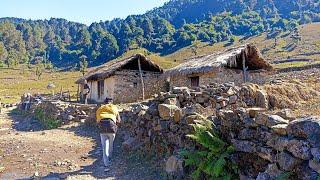 Simply The Best Nepali Mountain Village Life In Mid West Nepal || RuralLifenepal@RURALLIFENEPAL