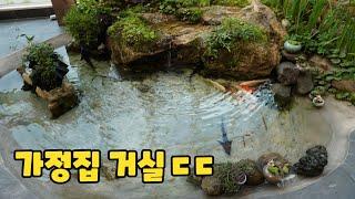 집안에 대자연을 만든 부부(썸넬어그로아님,전원생활의 로망)