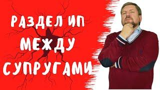 Раздел имущества супругов. Как разделить имущество ИП.