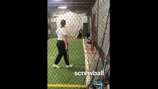 Sarah Pickett-Miller - Pitching Video