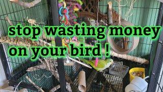 STOP wasting money on your bird |  diy bird  toys