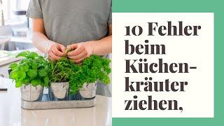 10 Fehler beim Küchenkräuter ziehen, die Sie verhindern sollten