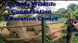 A day at the Uganda Wildlife Conservation Education Centre