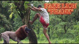 FAKE LION "PUBLIC PRANK"|AKALA NILA TOTOONG LION NA TALAGA