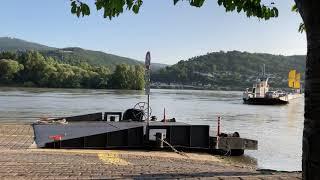 Middle Rhine Valley / Mittelrheintal -  Ankunft der Autofähre in Lorch bei Hochwasser