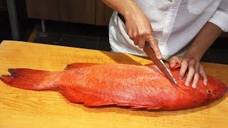 Japanese cuisine - Red Grouper Fish | Tuna Sashimi