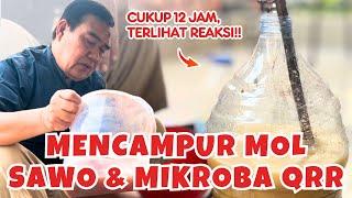 Praktek Memperkuat Mikroba MOL Sawo dengan QRR Decomposer