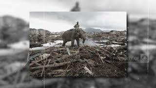 Mengenang 20 Tahun Tsunami Aceh