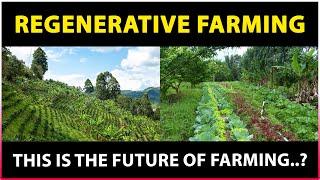 Regenerative Agriculture | Why this Sustainable Farming is the Future of Farming