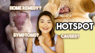 HOTSPOT IN DOGS | Arah Virtucio