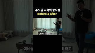 강아지 주도권 교육의 중요성 (놀라운 변화)