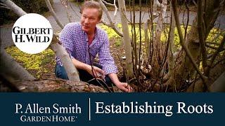 Establishing Roots in the Garden | Garden Home (1702)