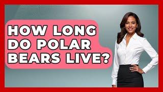 How Long Do Polar Bears Live? - The Wild Life Explorer