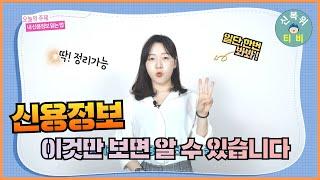#신용정보조회 읽는 법 [직원이 설명드립니다]
