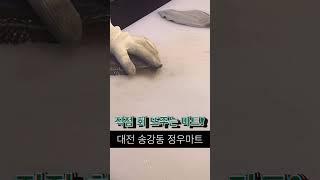 회 뜨주는 마트! 회맛이 달다 달어~#송강동횟집 #송강동정우마트 #송강동맛집