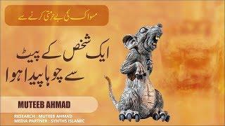 Mard Key Pait Se Chohey Ki Paidaish - Muteeb Ahmad - Islamic Informative Videos - 2019