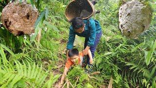 While picking vegetables, caught a giant beehive - khánh/ farm building