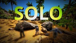 A *SOLO* Journey | Mini Wipe | Ark Survival Evolved