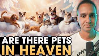 Do Pets Go To Heaven? How to Forgive Yourself? - Ask Me Anything