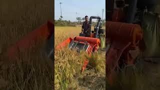 Mini. combine harvester  #combine #harvester #short #shorts #agriculture