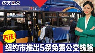 纽约市推出5条免费公交线路 可零元乘车