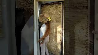 пошли со мной #галерея #соломка #золотая соломка