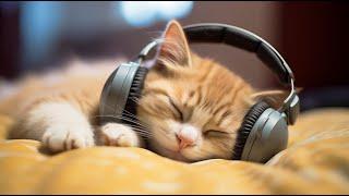 EXTREMELY Soothing Cat Therapy Music - Relax Your Cat! Cat Music - Music to Help Your Kitty Sleep