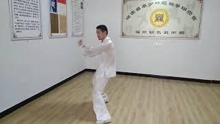 Fuzhou - Dragon Stake Boxing (龙桩拳) - Form: 28 Constellations / Ershibasu (二十八宿)