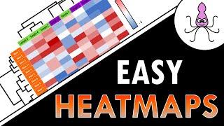 How to interpret a heatmap for differential gene expression analysis - simply explained!