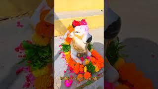 Jay sonadhari mahadev video