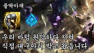누구도 날 막지 모텔(알리스타,애쉬 vs 자야,라칸)[플딱아재 알리스타]