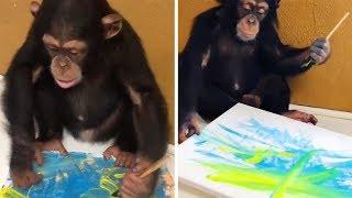 Talented Chimpanzee Paints Amazing Pieces