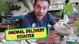 The Animal Delivery Disaster (Snake Island Exotics)