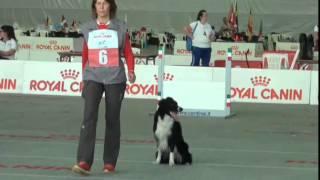 World Championship Obedience Fedorova Desh part 1