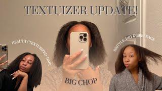 Texturized my 4C Hair | 1 Year Update, Had to do a Big Chop!! Lessons & Regrets! | BeeSaddity TV