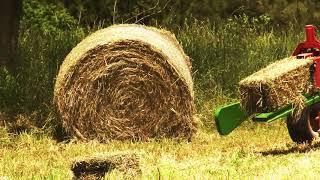 Ivey Farms Harvesting Orchard Grass For Hay