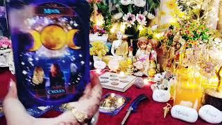 ️Deepest Feelings Next Action With Angel Guidance️All Signs Collective Timeless Tarot Reading 