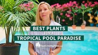 The Best Plants for a Pool Paradise