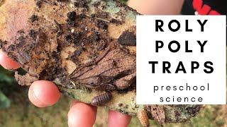 Roly Poly Traps