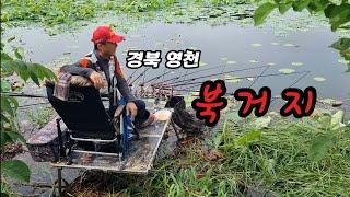 연밭 낚시의메카 영천 북거지 대물낚시~