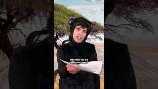 Wild animal adoption #shorts