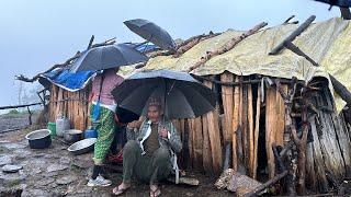 nomadic shepherd life of himalayan nepal | shepherd life in nepali mountain village |TheVillageNepal