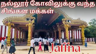 நல்லூர் கோவிலுக்கு வந்த சிங்கள மக்கள் | Nallur | Jaffna