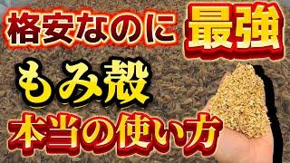 【もみ殻】格安なのに最強の土壌改良材！籾殻の本当の使い方教えます。