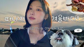 여름바다? 겨울바다! 가족과 함께하는 속초여행 VLOG | 속초 호텔 추천