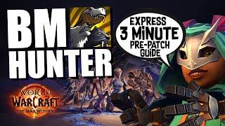 BM Hunter Guide | The War Within Pre-Season | New Talents, Rotations, Gear